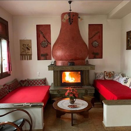 Η Θεα Traditional House Makrinítsa Екстериор снимка