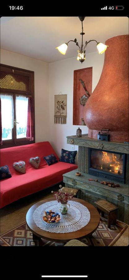 Η Θεα Traditional House Makrinítsa Екстериор снимка
