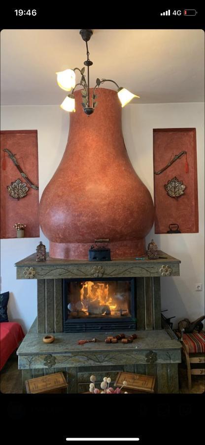 Η Θεα Traditional House Makrinítsa Екстериор снимка