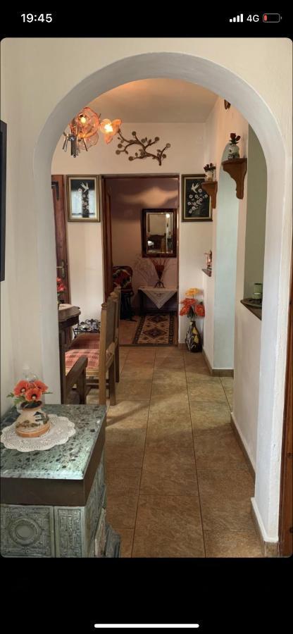 Η Θεα Traditional House Makrinítsa Екстериор снимка
